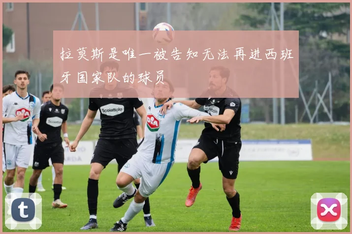 拉莫斯是唯一被告知无法再进西班牙国家队的球员