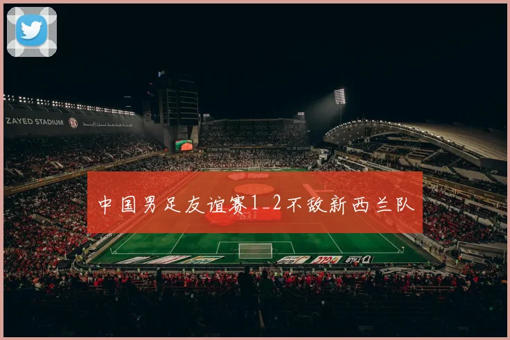 中国男足友谊赛1_2不敌新西兰队