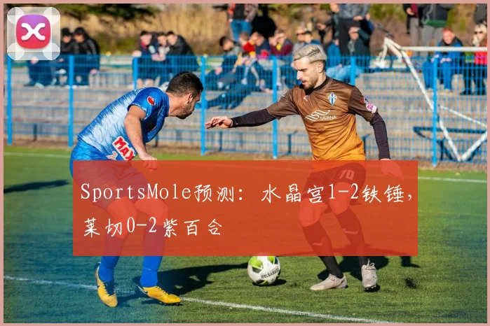 SportsMole预测：水晶宫1-2铁锤，莱切0-2紫百合