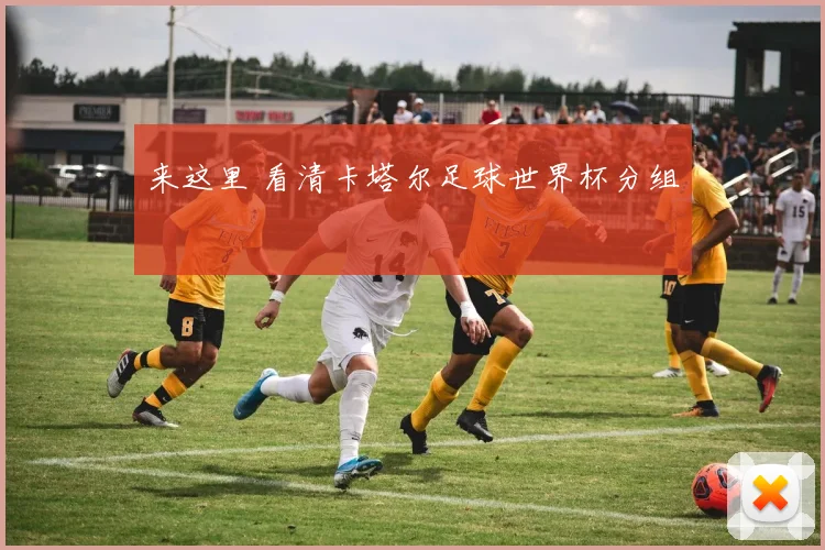 来这里 看清卡塔尔足球世界杯分组